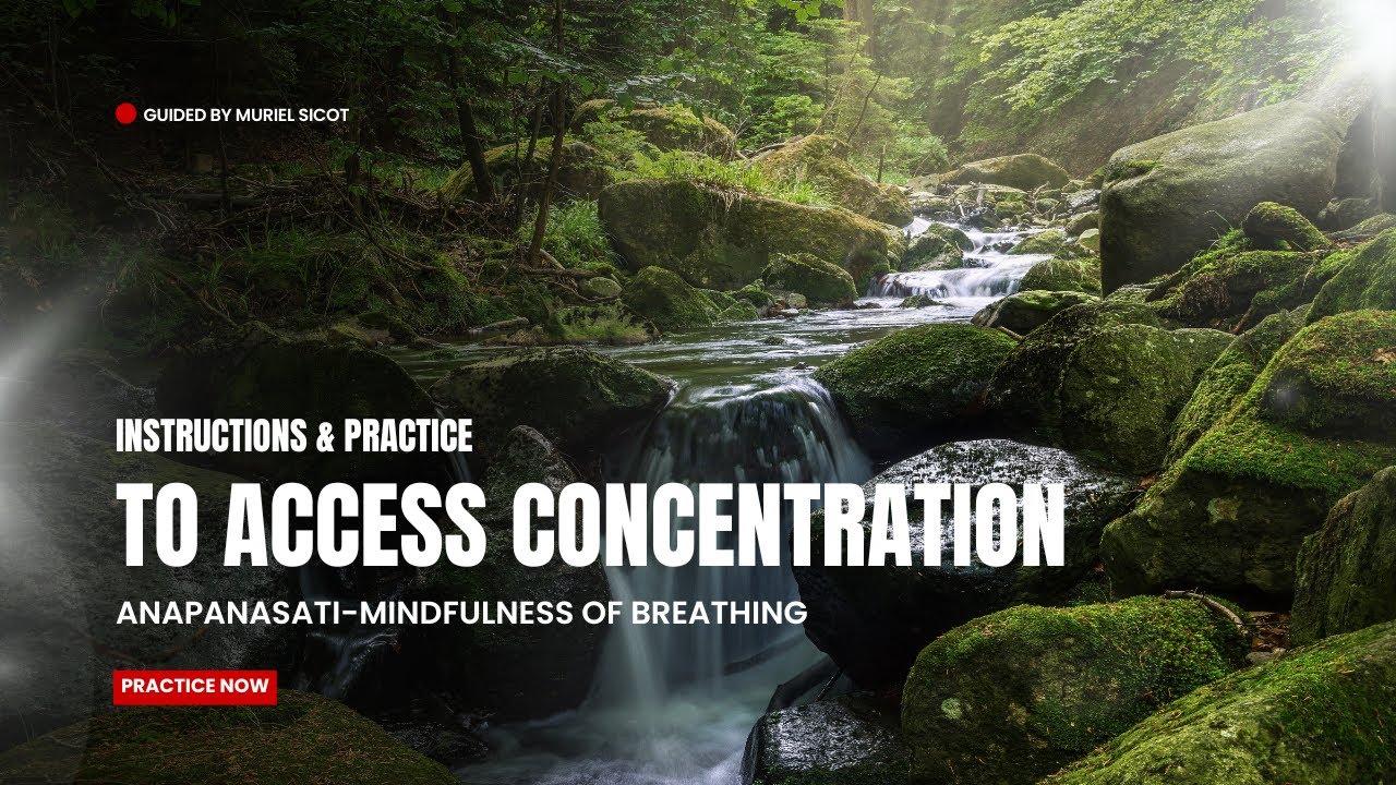 Developing mind concentration through mindfulness of breathing.