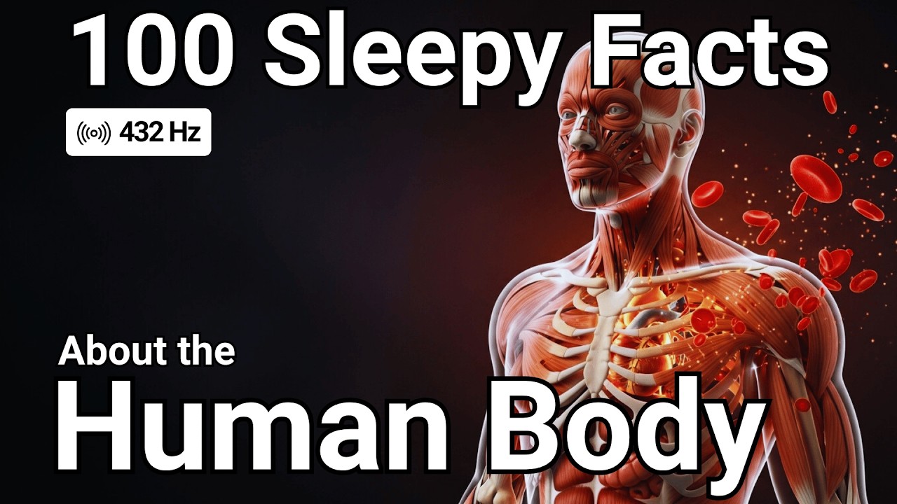 The Most Relaxing Psychology Facts About The Human Body to Fall Asleep To