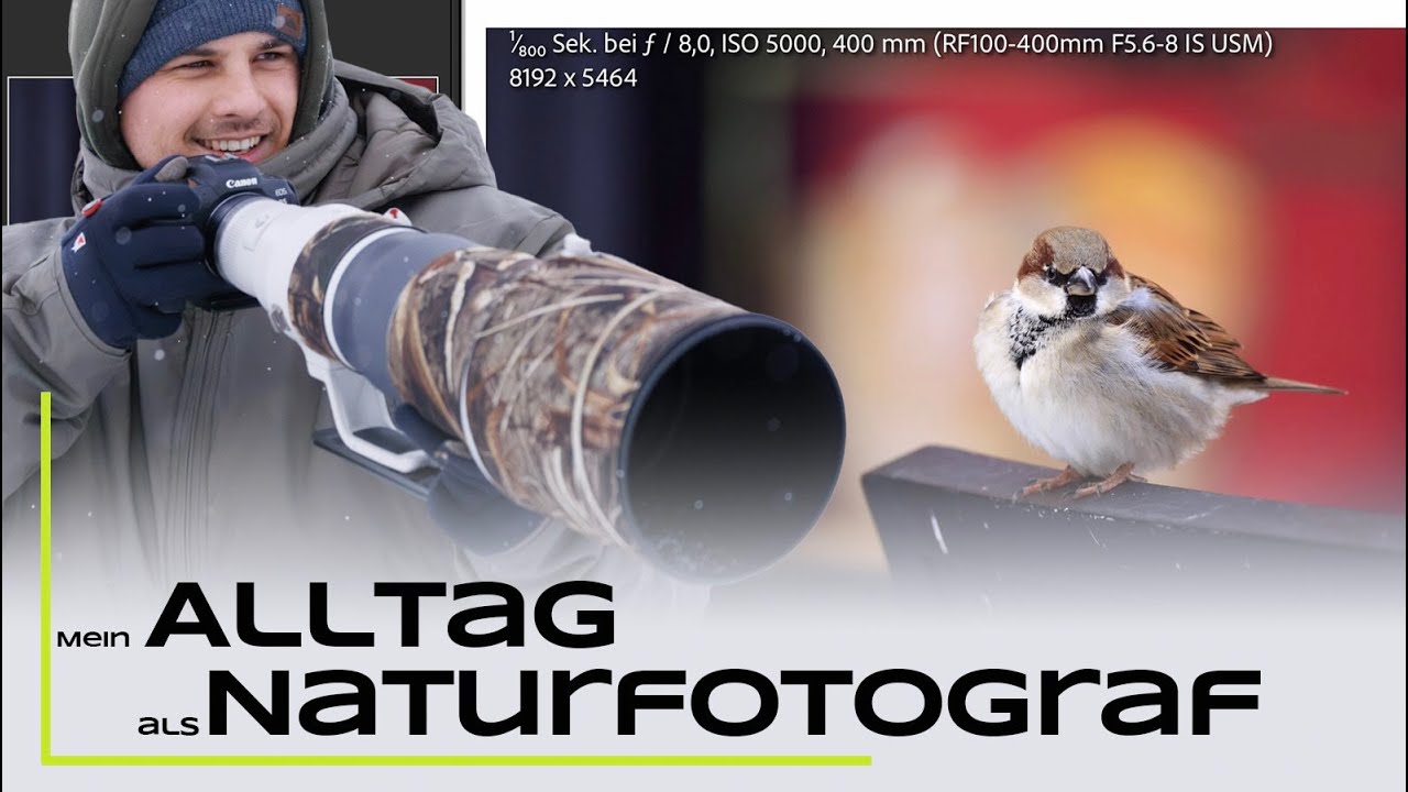 Mein (langweiliger) Alltag - inkl. Bildbearbeitung