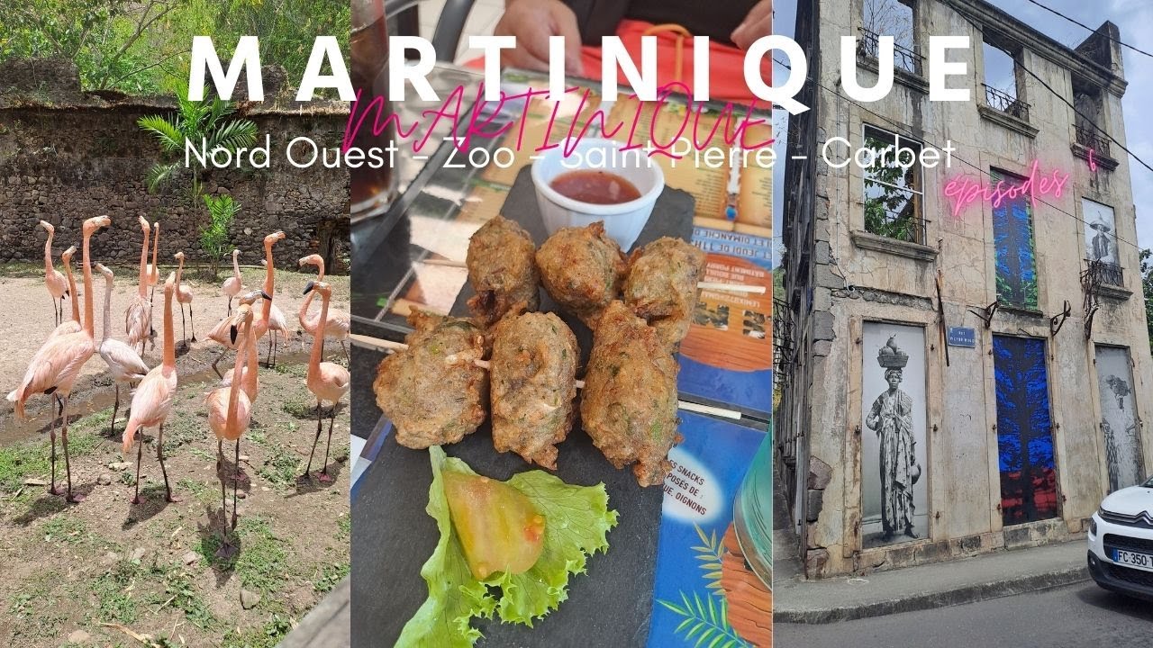 CARBET, SAINT-PIERRE & LES MEILLEURS ACCRAS EVEER : COTE NORD-OUEST DE LA MARTINIQUE | JOUR 6