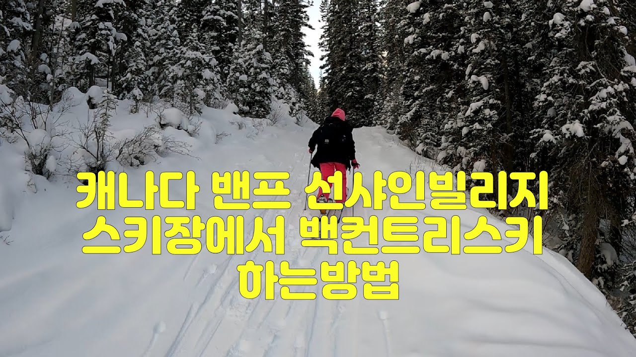 [백컨트리스키] 선샤인빌리지 스키장에서 백컨트리스키 하는 방법