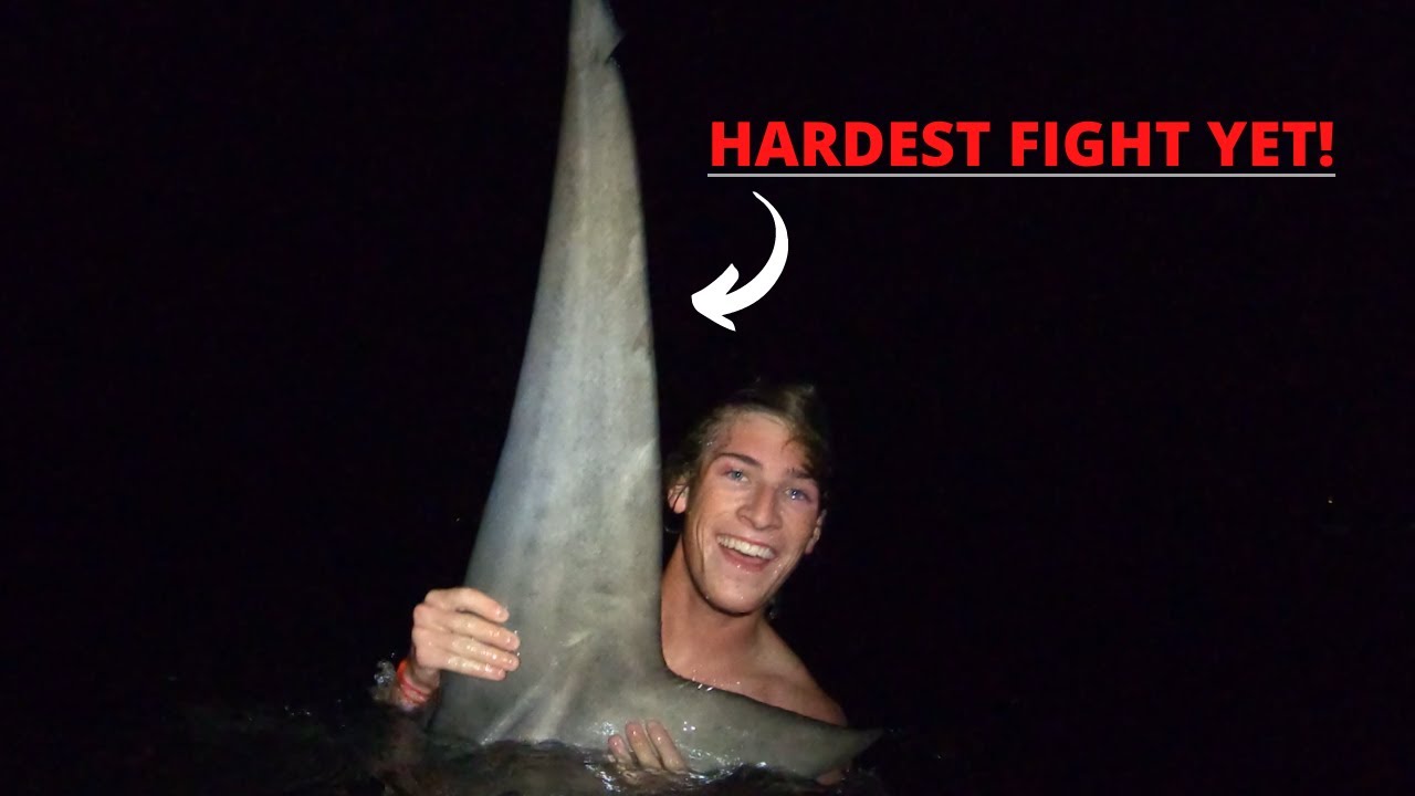 12ft Tiger Shark!- Land Base Shark Fishing Florida