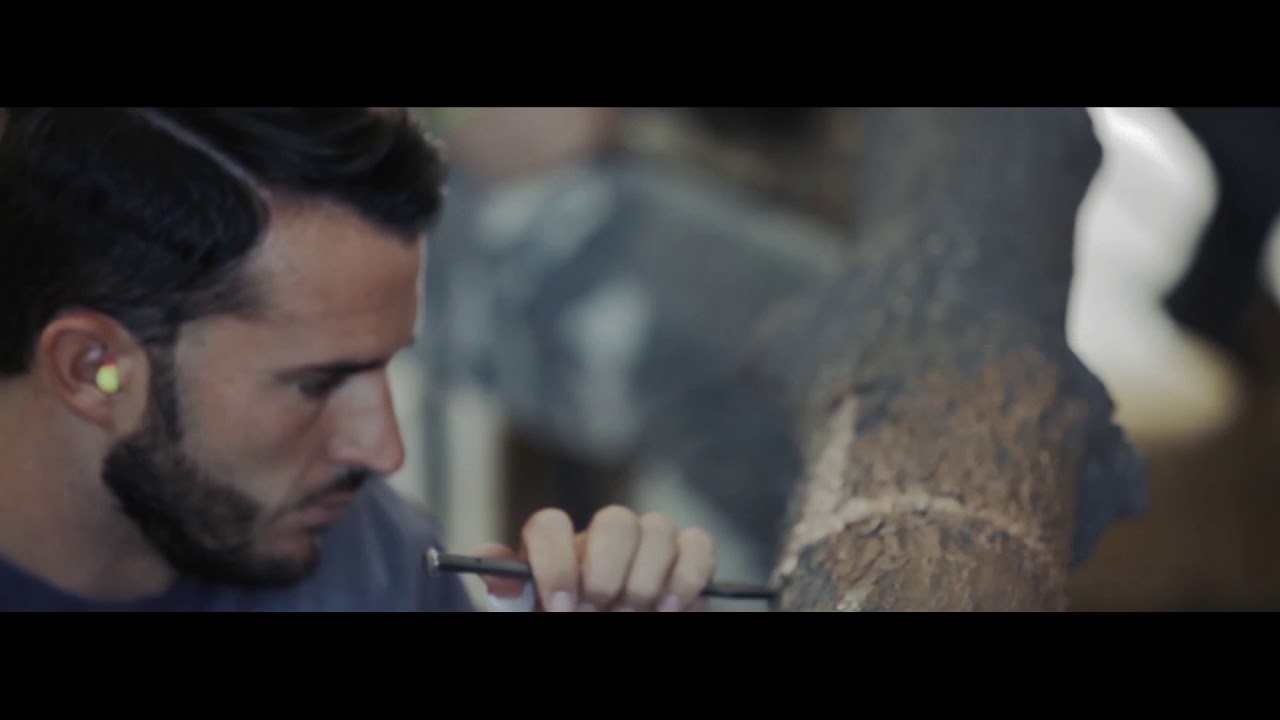 Giuseppe Penone, Sorgente di Luce. Making of, 2019