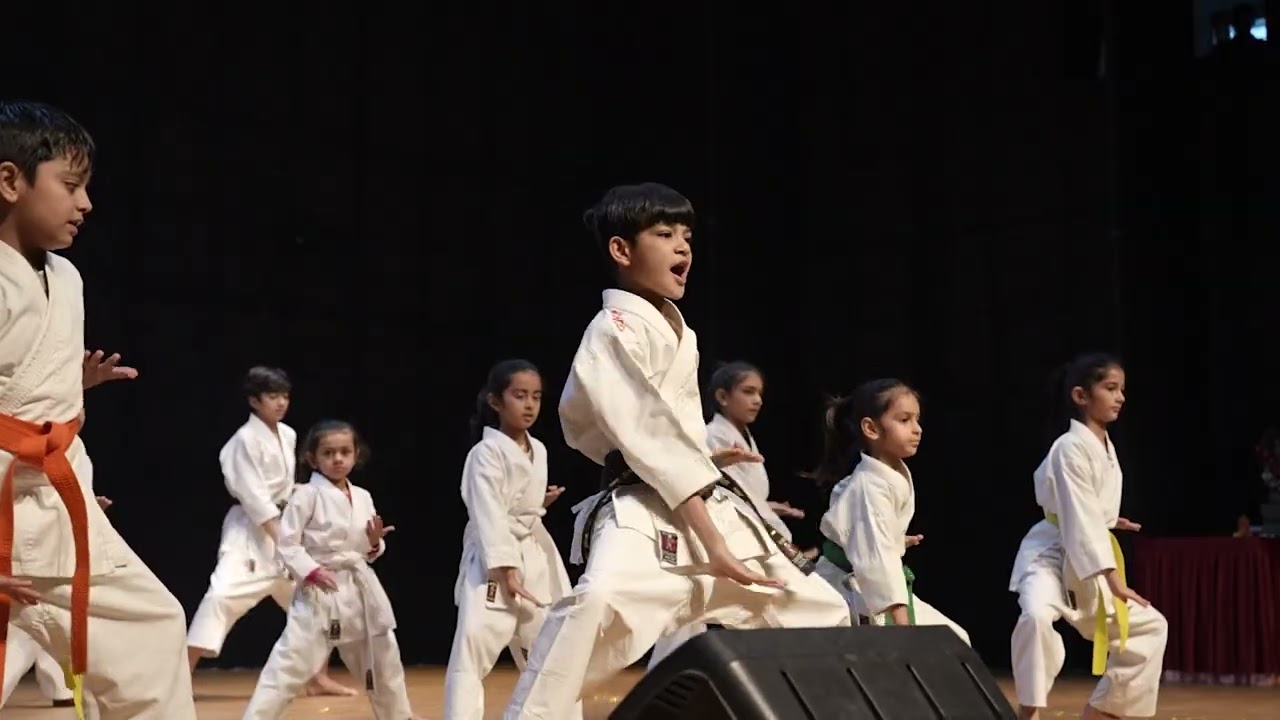 Karate Performance.