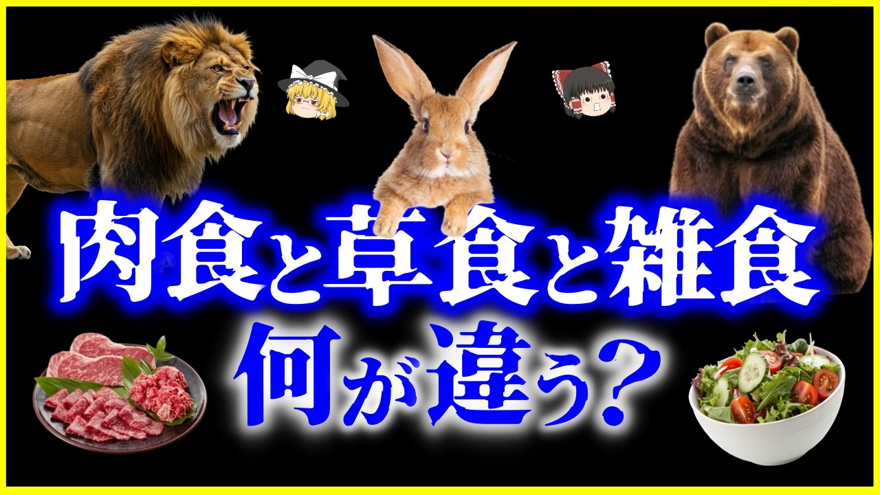 【ゆっくり解説】なぜ人間は雑食なのか？肉食と草食と雑食、何が違う？を解説/食べ物でここまで違う…食性から見る動物の進化