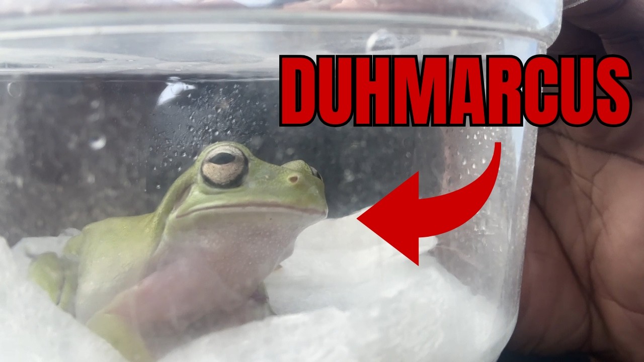 I drove 2 hours so my pet frog can experience brotherhood
