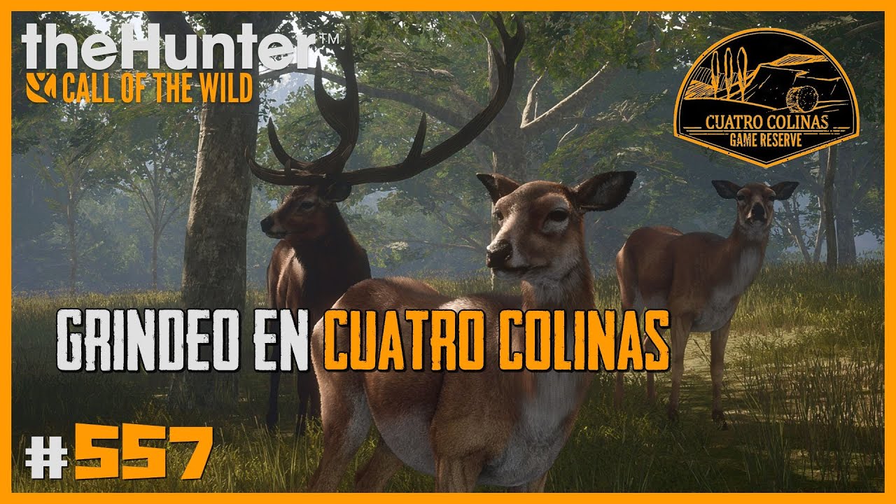 BUEN GRINDEO DE CIERVOS COMUNES EN CUATRO COLINAS | 🦌theHunter: CotW #557