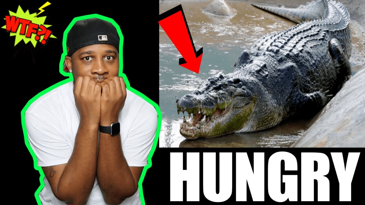 10 Largest Crocodiles on the Earth...