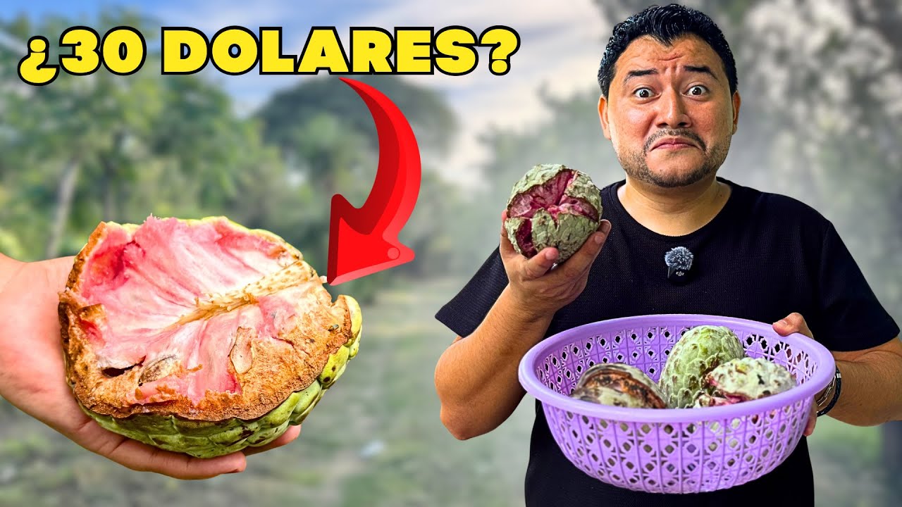PRODUCTOR DE ANONAS ROMPE EL SILENCIO en EL SALVADOR | ¿La fruta más cara?