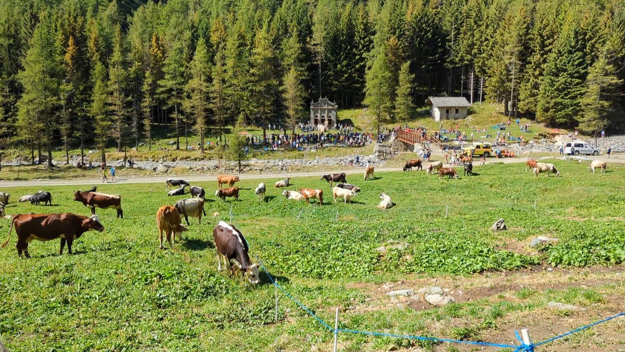 Un luogo meraviglioso tra natura, spiritualità e tradizioni - Pian dell'Azaria - Canavese