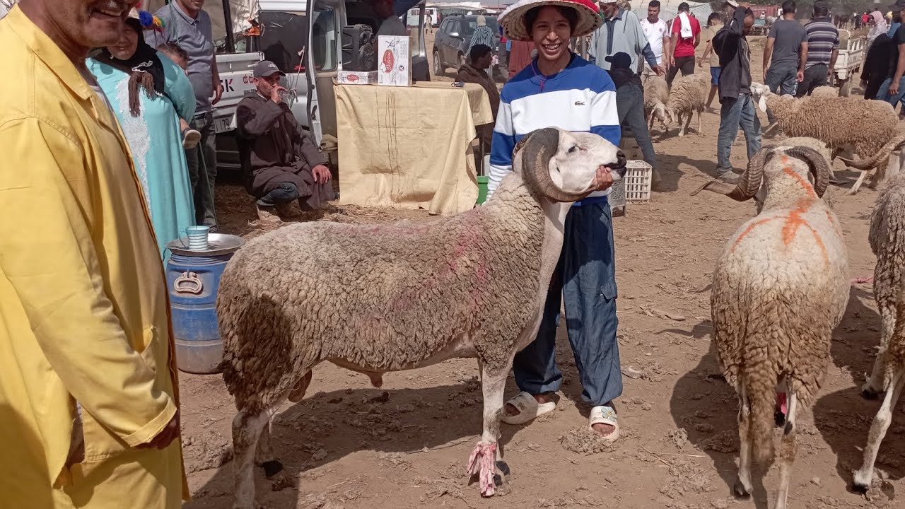 حميدطيكطو اليوم السوق سخون سيدي سليمان  هذا البنت شريت الحولي 120 الف