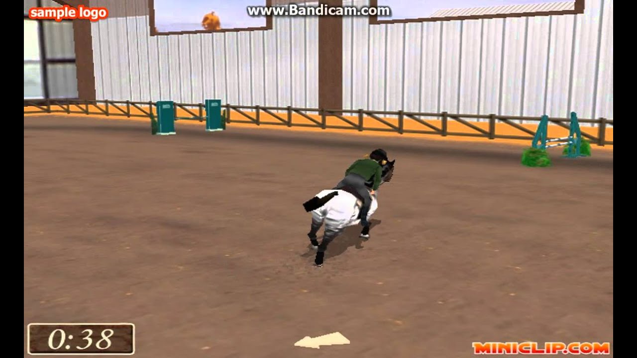 show jumping game horse