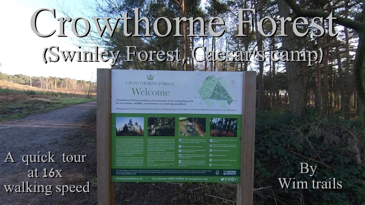 Crowthorne, Swinley & Bracknell Forest