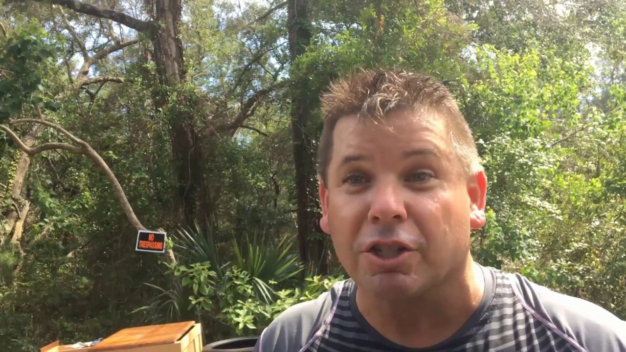 Пойманы на месте преступления — незаконный сброс мусора