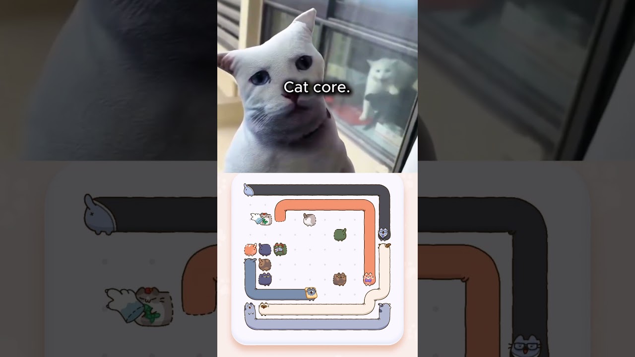 Toffee Cats! Available on 