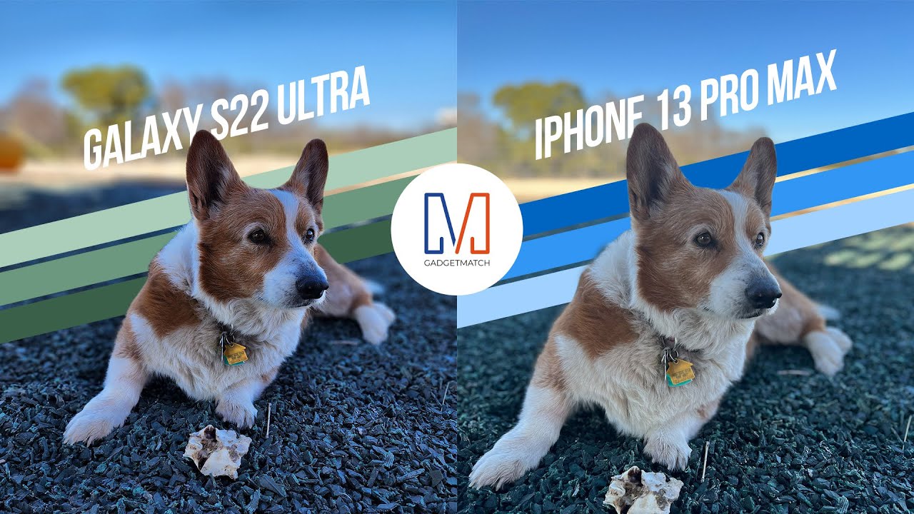Samsung Galaxy S22 Ultra vs iPhone 13 Pro Max: Camera Shootout