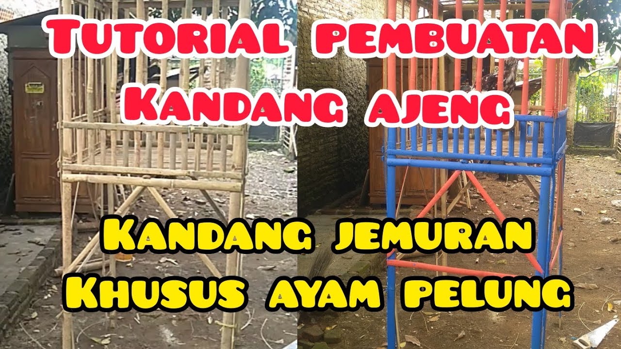 Tutorial pembuatan Kandang ajeng, kandang jemuran ayam pelung
