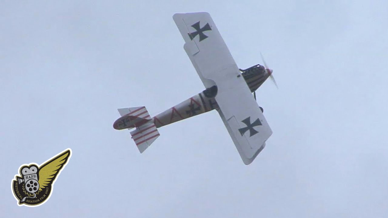 Pfalz D.III 1917 WW1 German fighter
