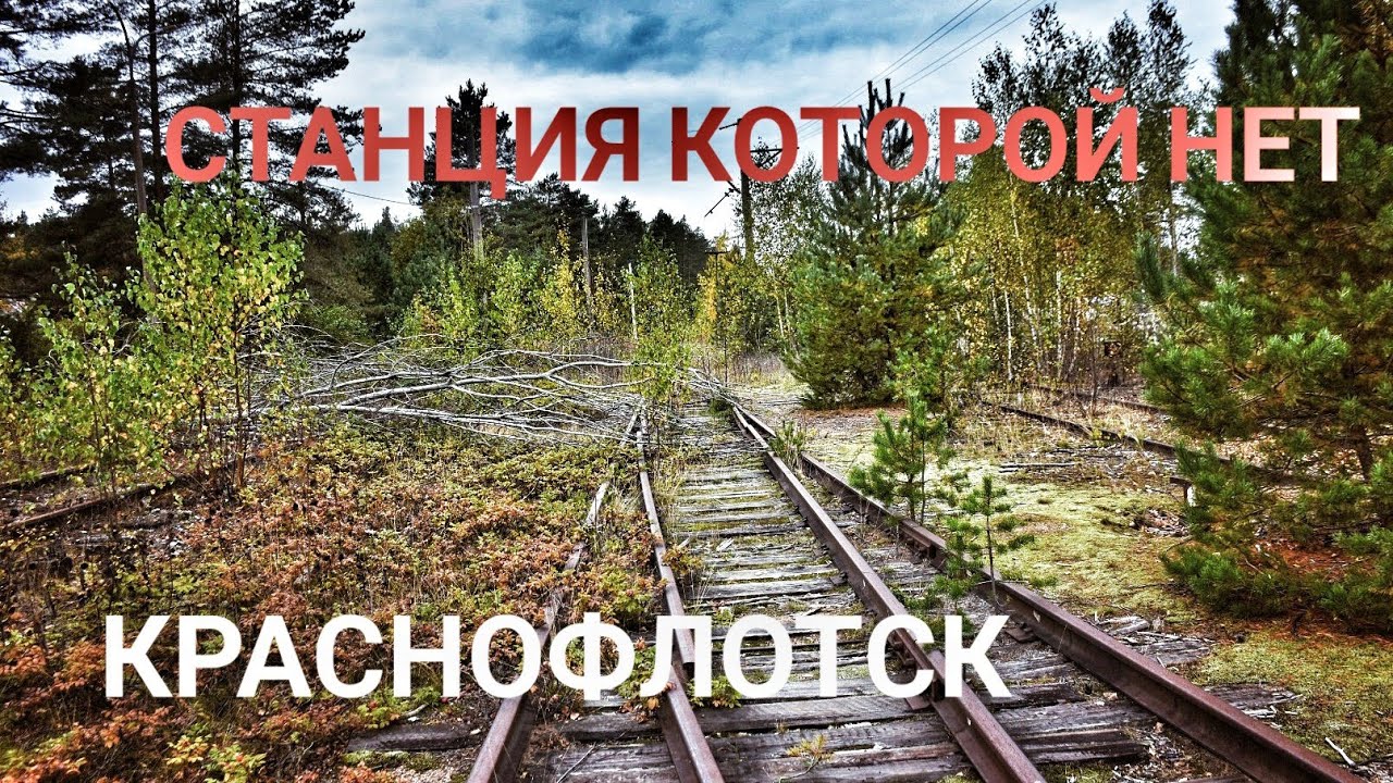 Станция Краснофлотск. Заброшенная Ижорская военная железная дорога