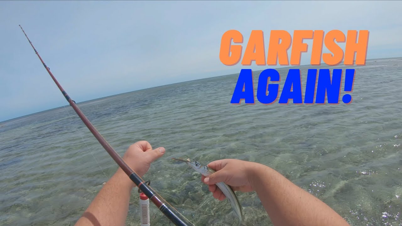 Carrickalinga Beach | Fishing for GARFISH again | Fishing South Australia