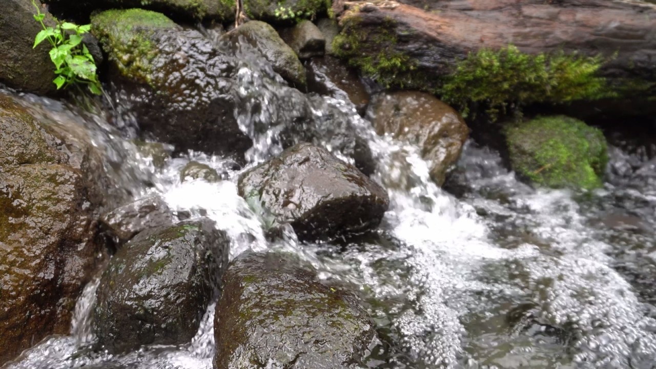1 Hour of Flowing River Sounds for Deep Concentration • Flowing Water Sounds for Relaxation