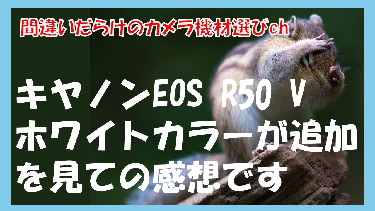 間違いだらけのカメラ機材選びch 「キヤノンEOS R50 Vホワイトカラーが追加を見ての感想です」
