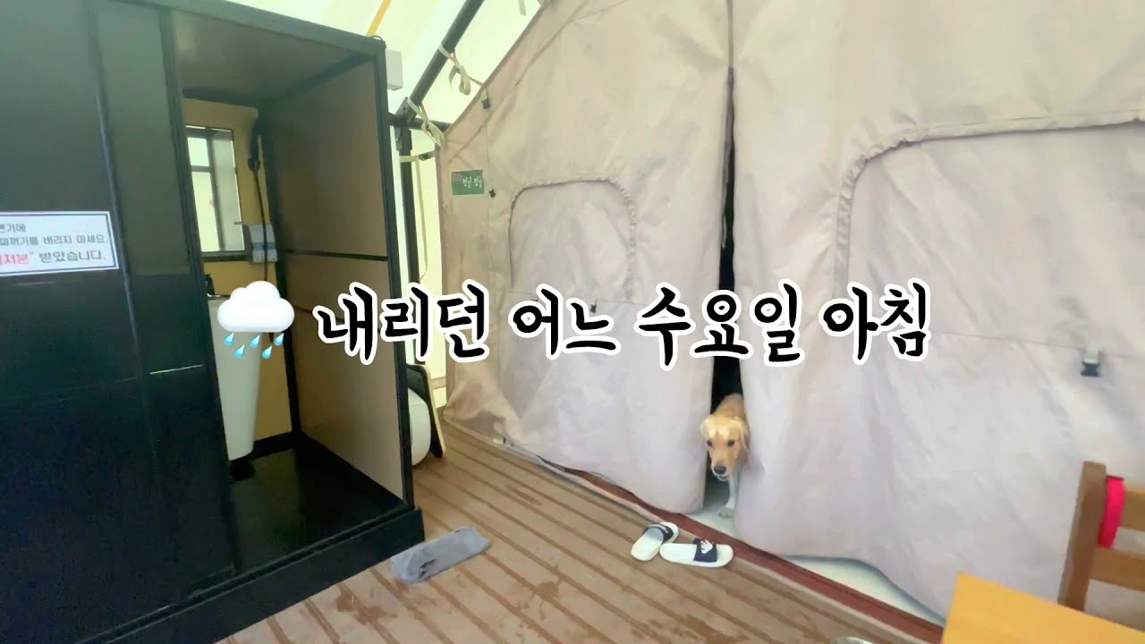 질린다질려