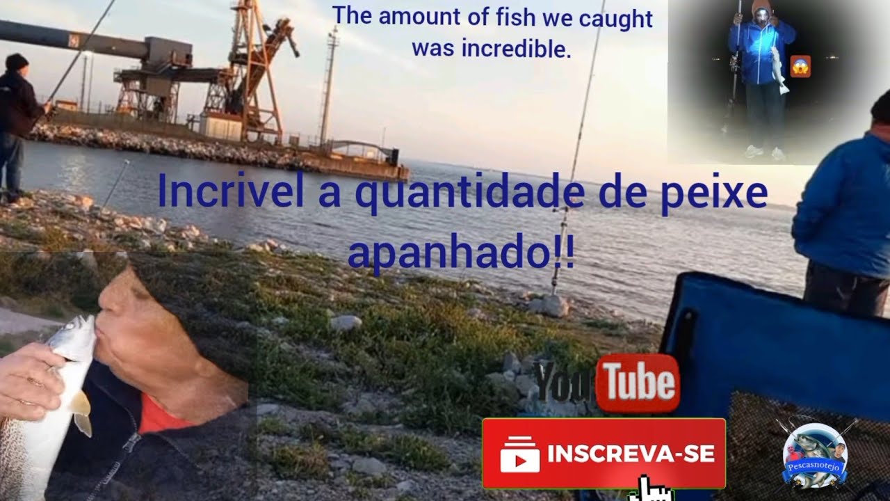 incrivel a quantidade de peixe que apanhámos