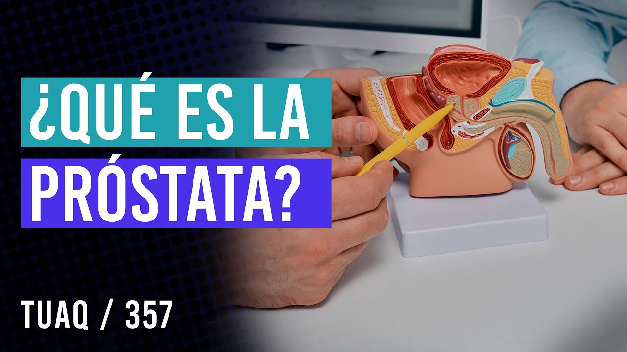 ¿Qué es la próstata?