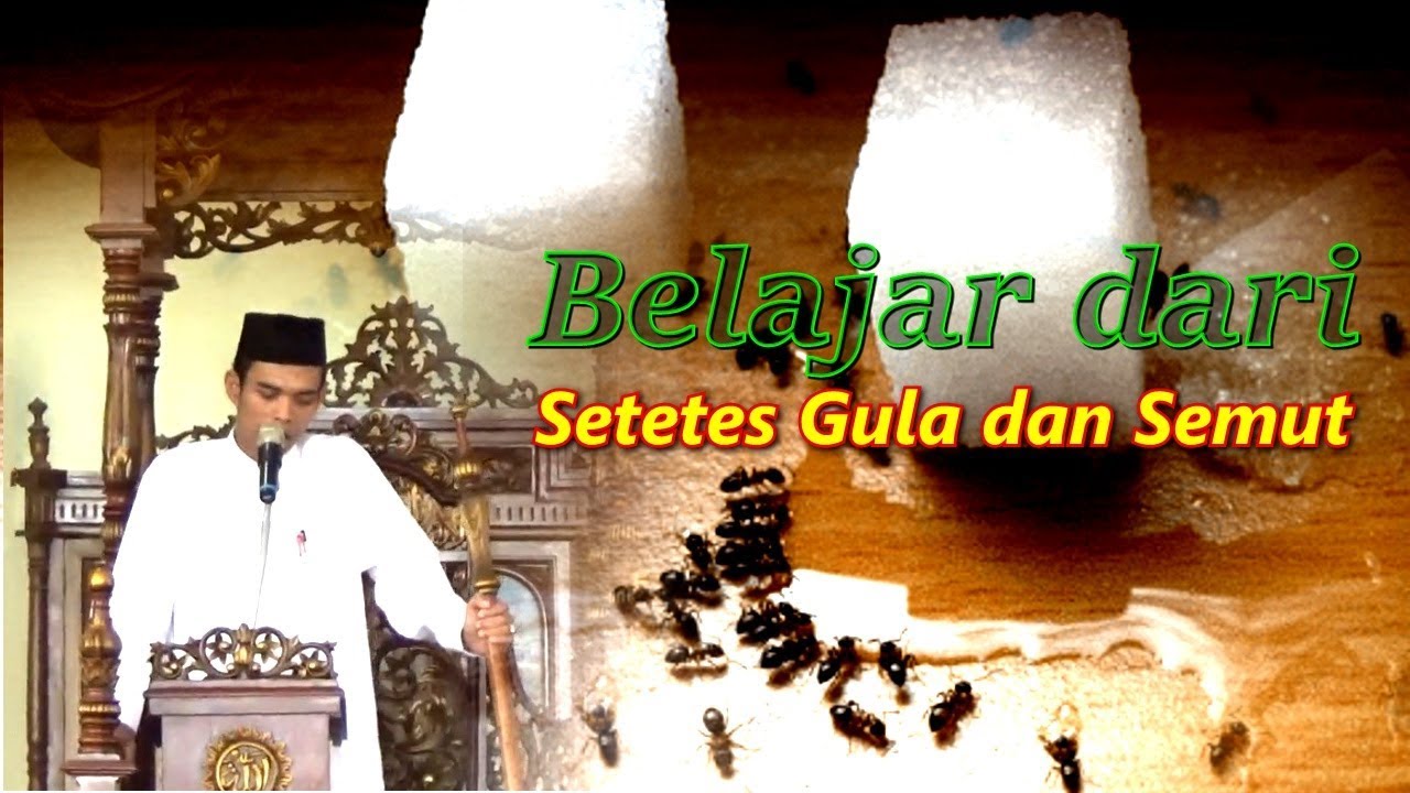 Mengambil Pelajaran dari Semut dan setetes Gula ; Ustadz Abdul Somad Lc , MA