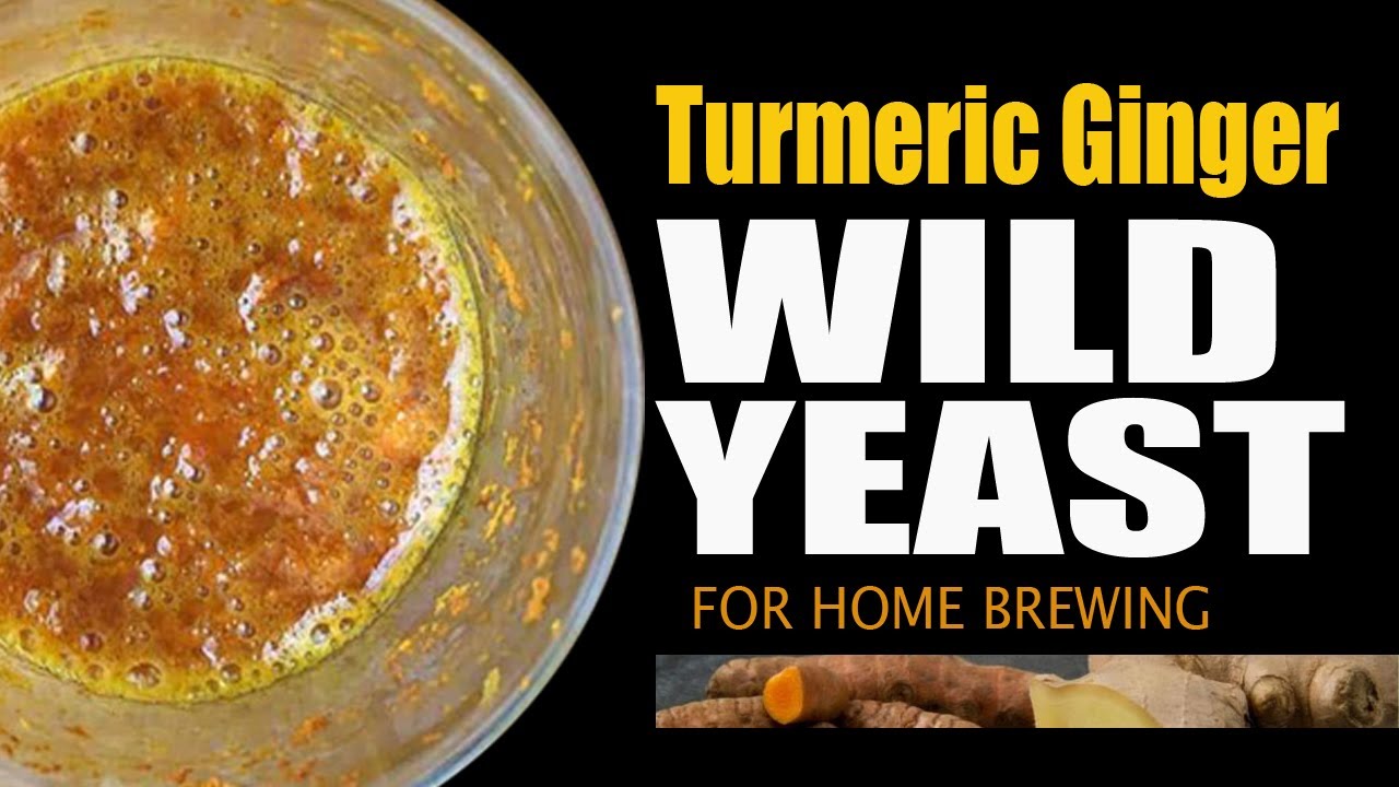Turmeric Ginger Wild Yeast For Home Brewing in 2002 || घर पर हल्दी अदरक खमीर कैसे तैयार करें