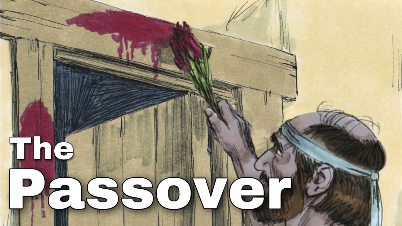 11. The Passover - The Bible Story