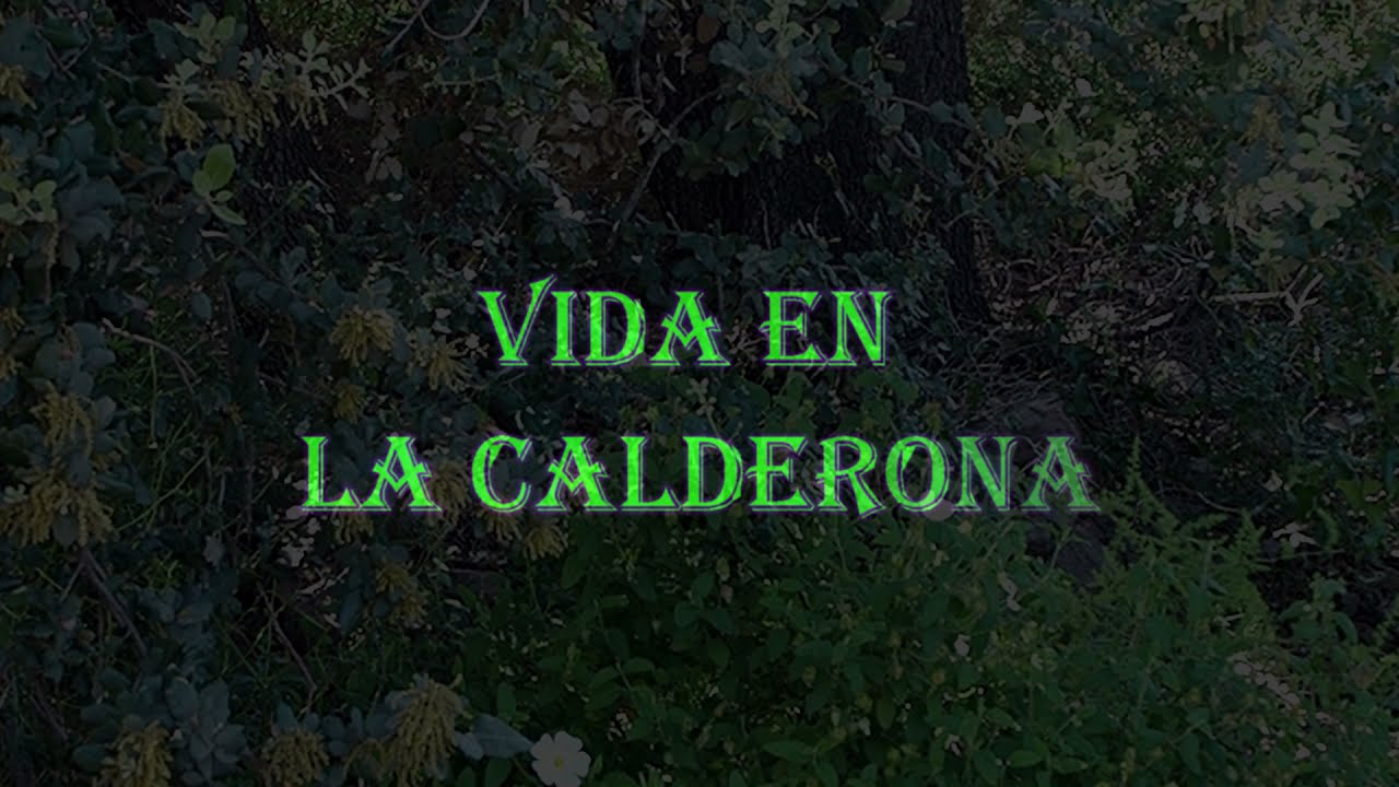 VIDA EN LA CALDERONA