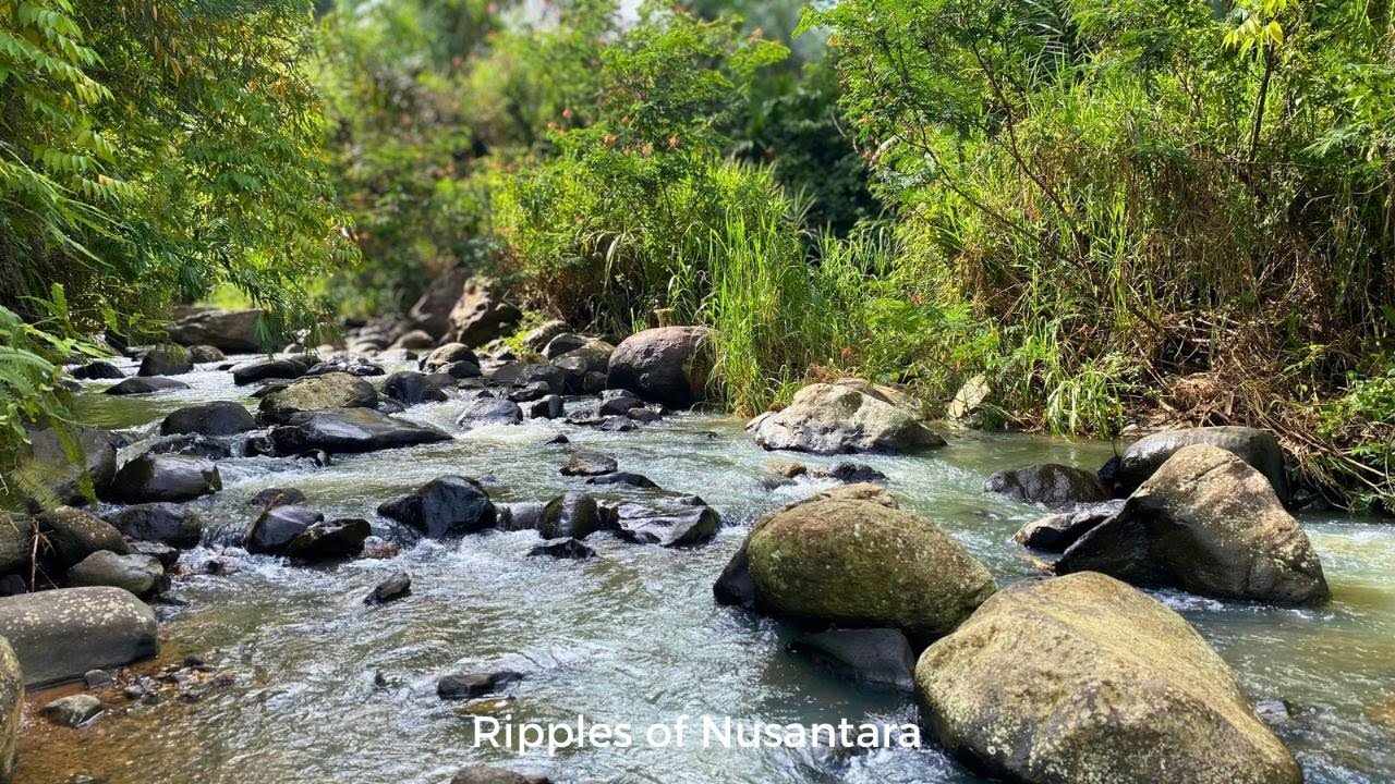 😴 Fall Asleep Deeply | Calm River Ripples Over Natural Stones For Relaxation • Ripples Of Nusantara
