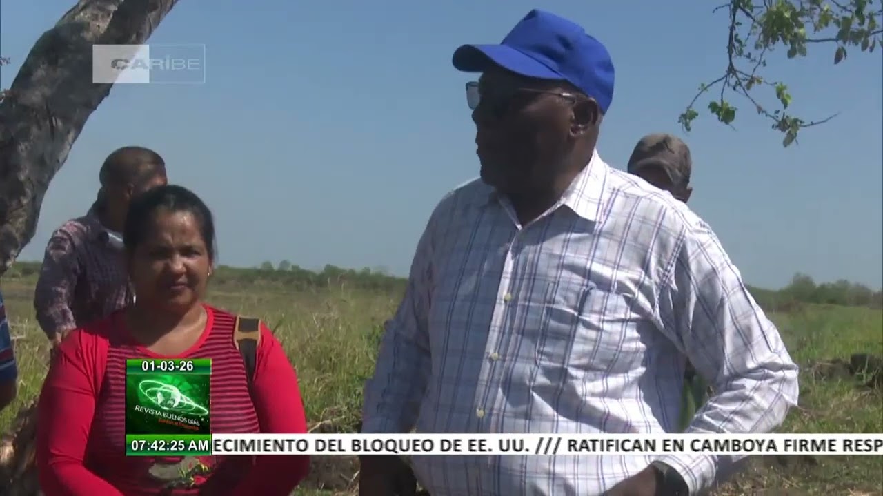 Vicepresidente cubano exhorta en Granma a aumentar producción de arroz