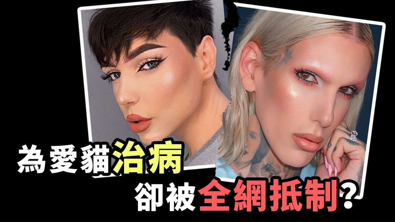 為愛貓治病卻被全網抵制？曝光千萬網紅卻引火燒身？美妝新星是如何自毀前程的？