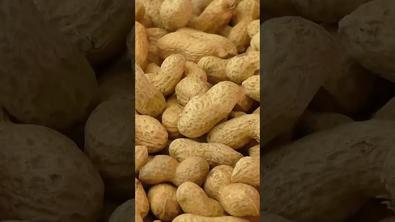 A Man Ate 2 Pounds Peanuts 🥜 Everyday