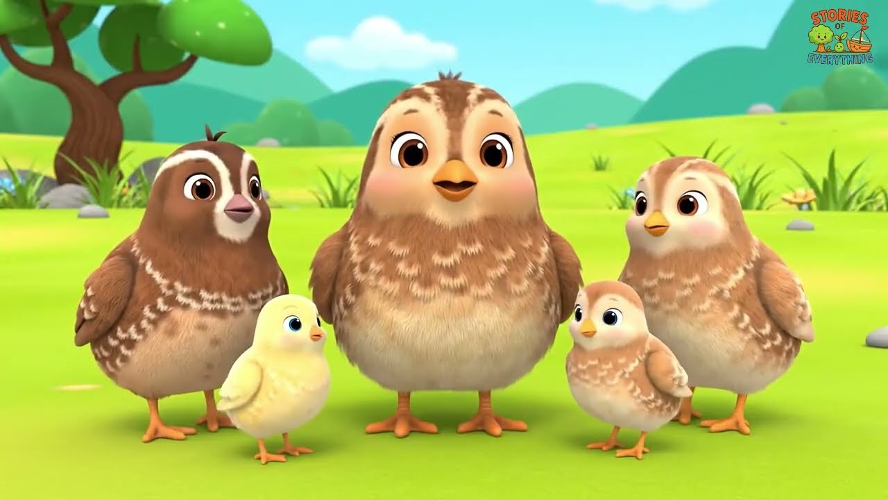English | Little Quail’s Big Journey | Little Quail’s Big Journey  | life story
