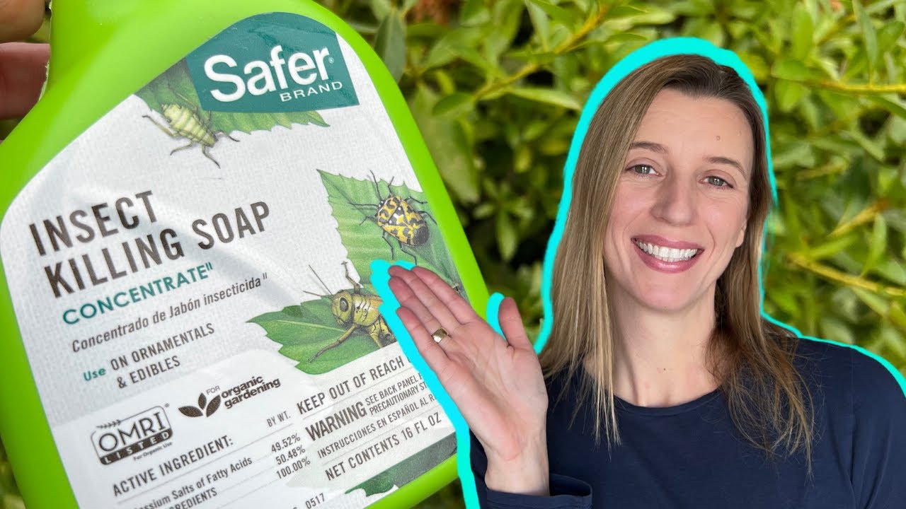 Pest-Free Plants Made Easy with This Safe Insecticidal Soap