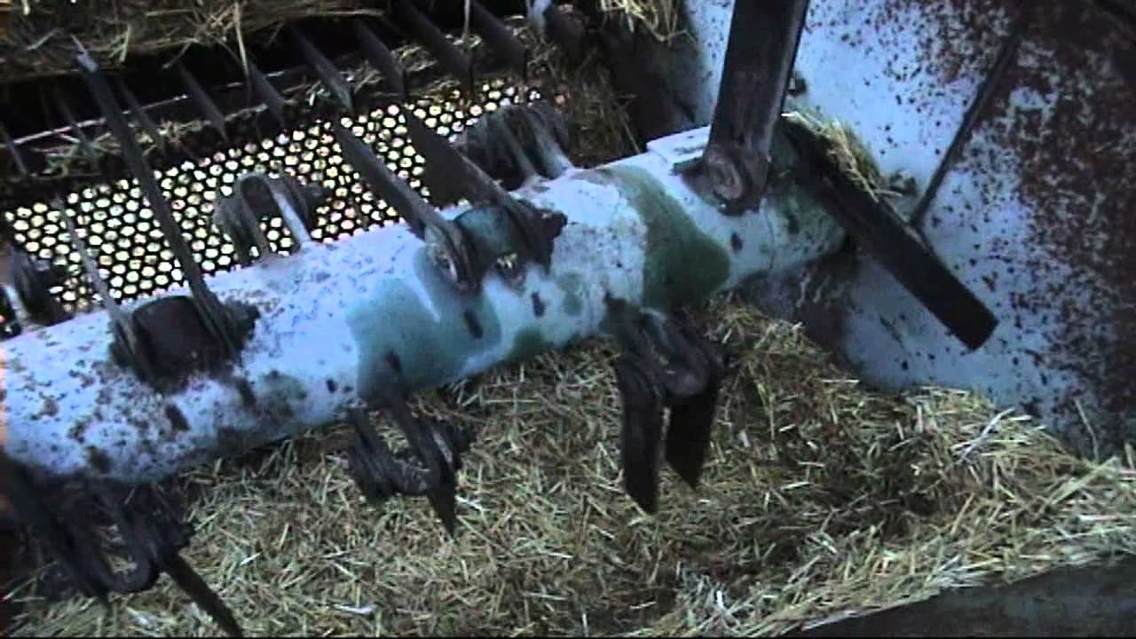 Соломорезка, для грибов Вешенка (качество выше).mp4