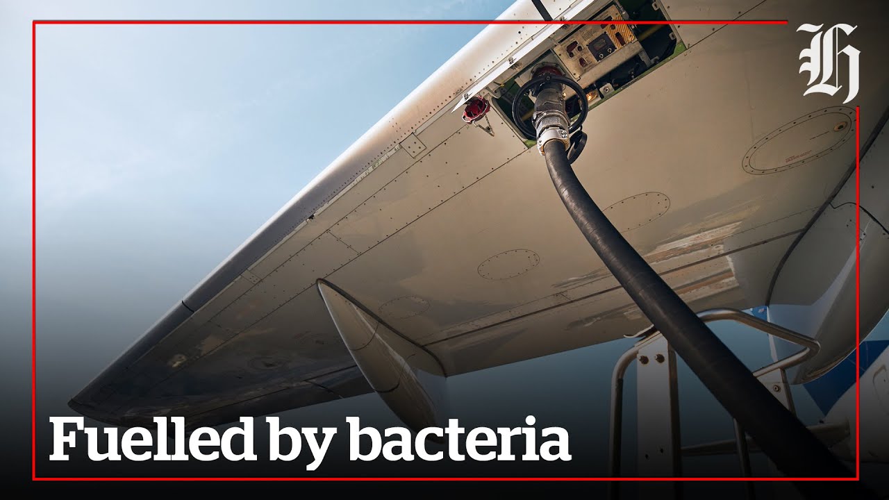 Bacteria could be the answer to aviation fuel crisis | nzherald.co.nz