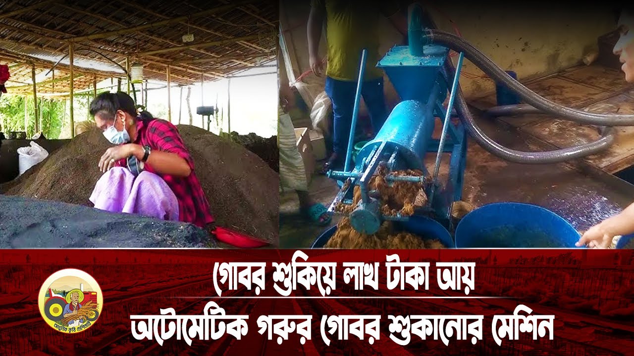 গোবর শুকিয়ে লাখ টাকা আয় | অটোমেটিক গরুর গোবর শুকানোর মেশিন | Manure Separator Machine
