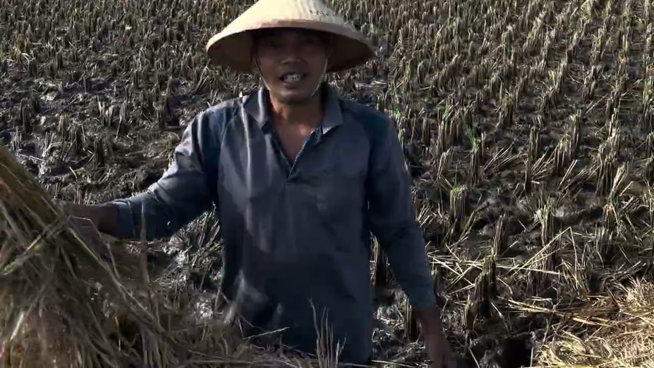 Pulang  Dari Taiwan..‼️ Kembali ke Setelan Awal