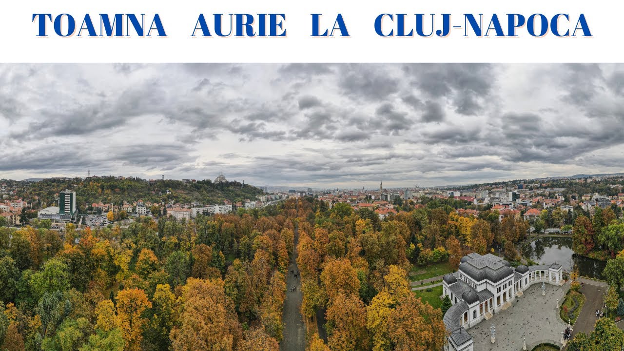 TOAMNA AURIE LA CLUJ NAPOCA