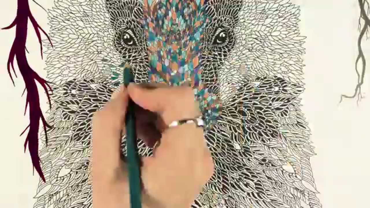 The Menagerie - Animal Portraits to Colour