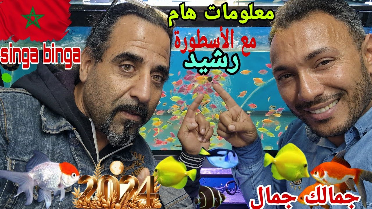 سوق القريعة 🇲🇦🇲🇦مع مولوع واستاذ رشيد 🎖مع معلومات 😱هام جدا هام 💣علي اسماك الزينة🐬🐠 واتمني جدا مناسب🙏🏆
