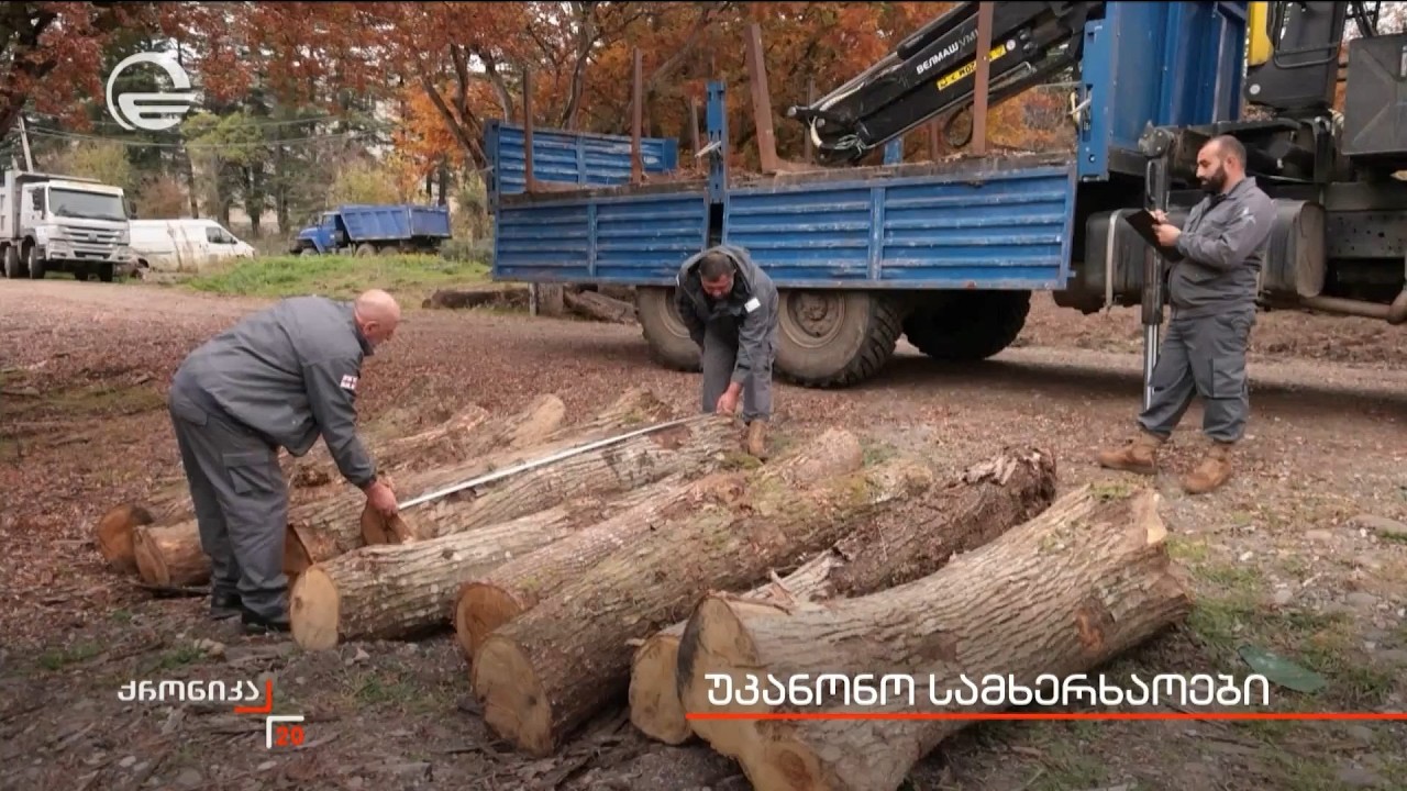უკანონო სამხერხაოები