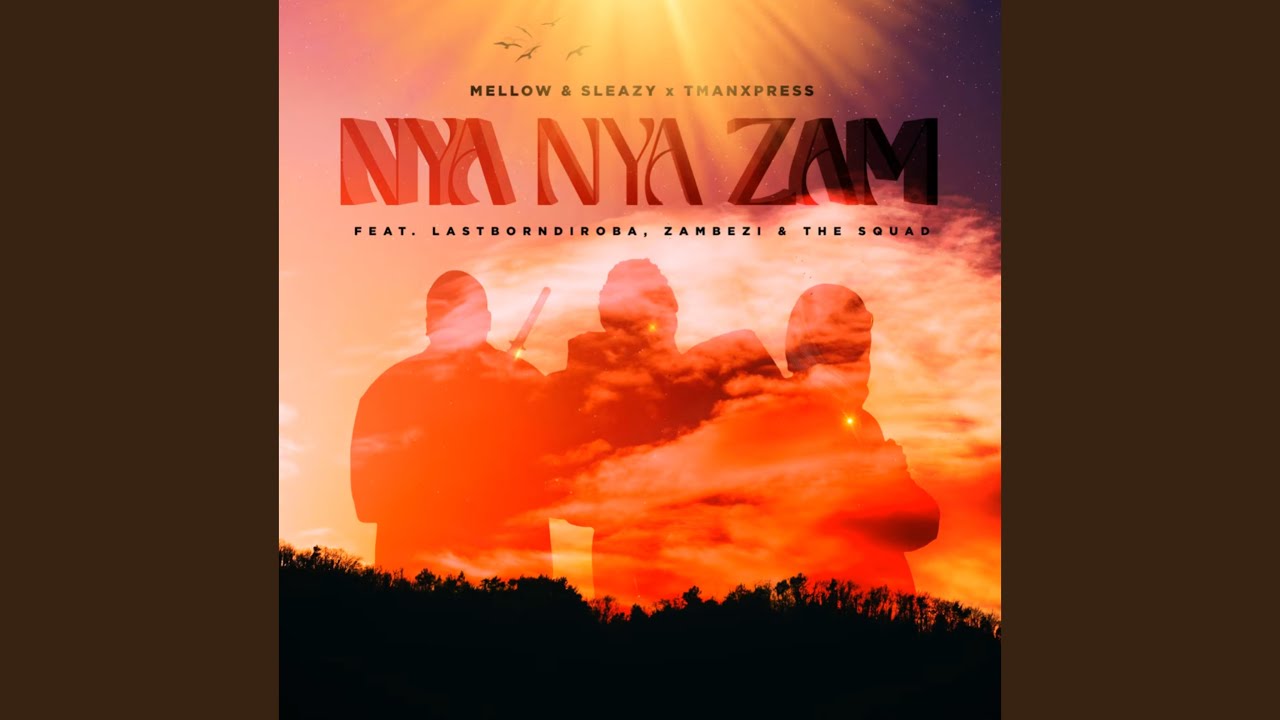 Mellow & Sleazy, Tman Xpress - Nya Nya Zam (Official Audio) feat. LastBornDiroba, Zambezi, The Squad