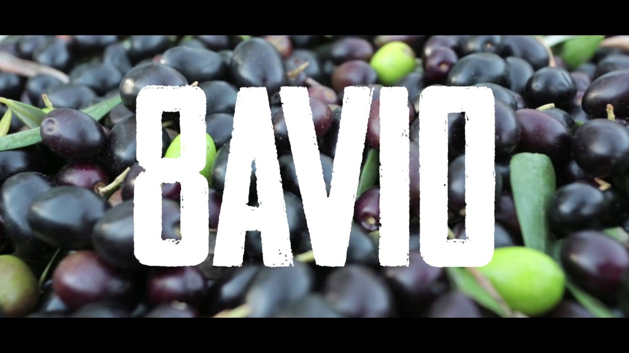Olio 8AVIO - Campagna olivicola