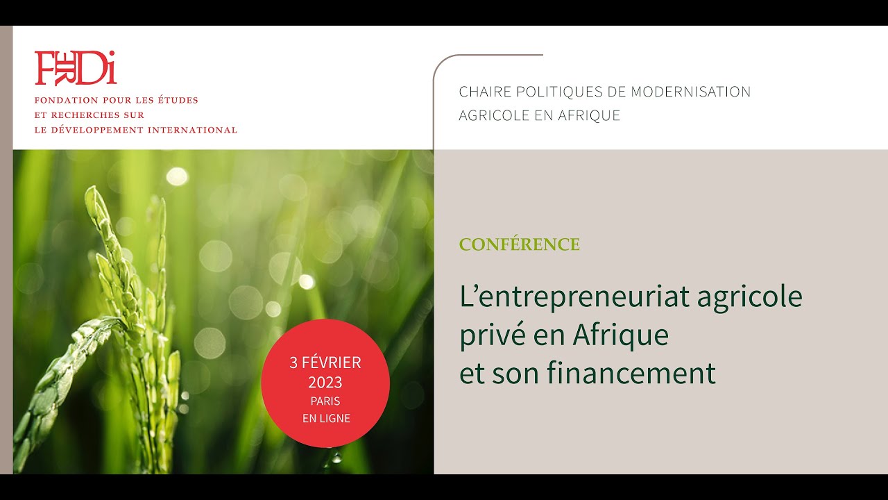 L'entrepreneuriat agricole privé en Afrique.